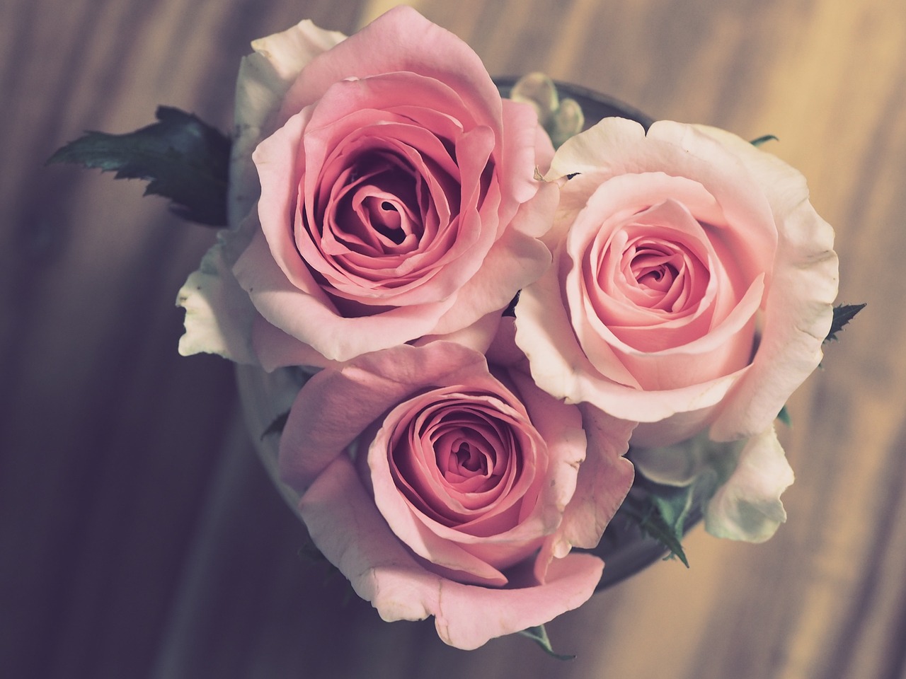 celebrate your special moments with our anniversary guide, featuring unique gift ideas, heartfelt messages, and tips to make your day unforgettable.