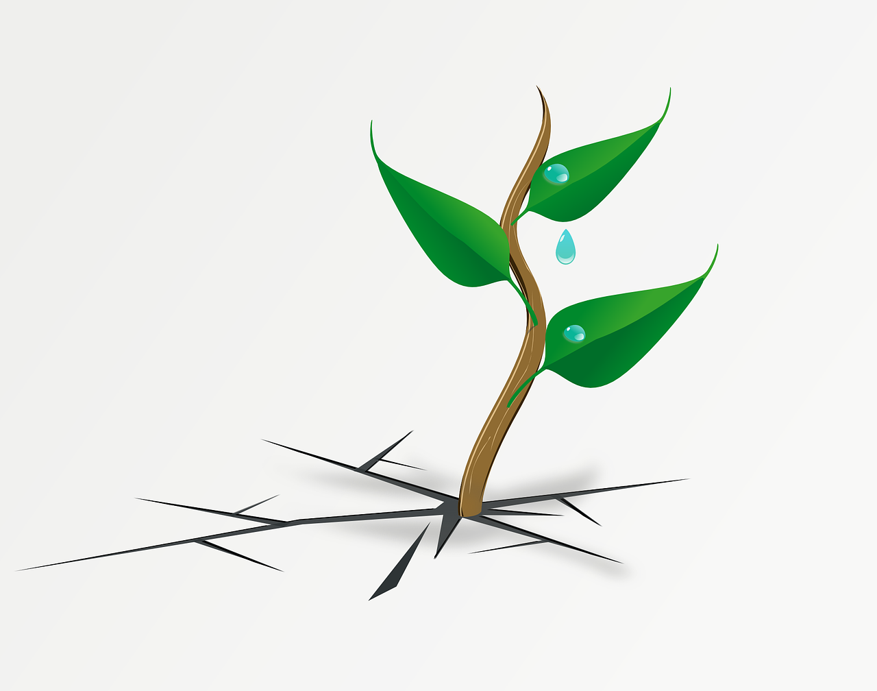 explore the concept of resilience and discover how individuals and communities can adapt and thrive in the face of challenges. learn practical strategies and inspiring stories that highlight the strength of the human spirit.