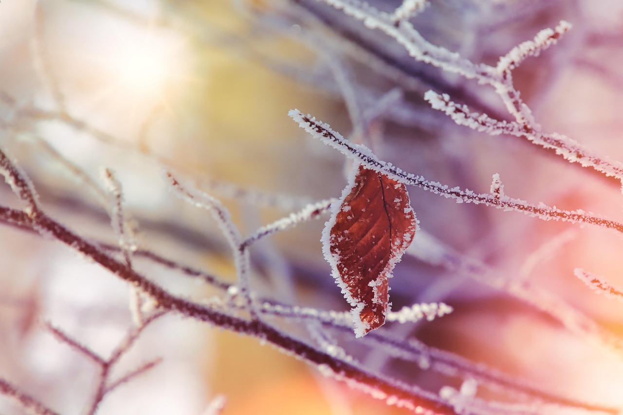 explore the essentials of sick leave, including policies, employee rights, and best practices for managing health-related absences. learn how to navigate this important aspect of workplace culture.