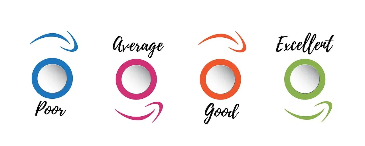 How Can I Implement Effective Feedback Systems in a Small Team?